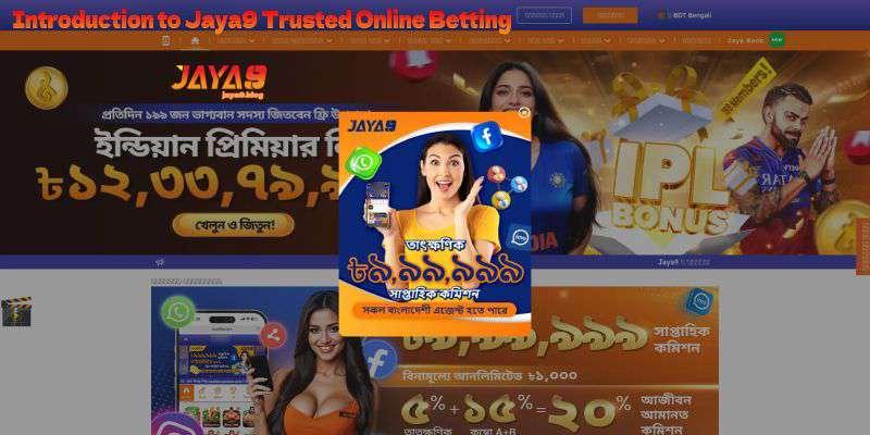 BetSwiz Cricket Betting Review