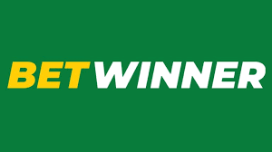 Everything You Need to Know About Betwinner Your Go-To Betting Platform